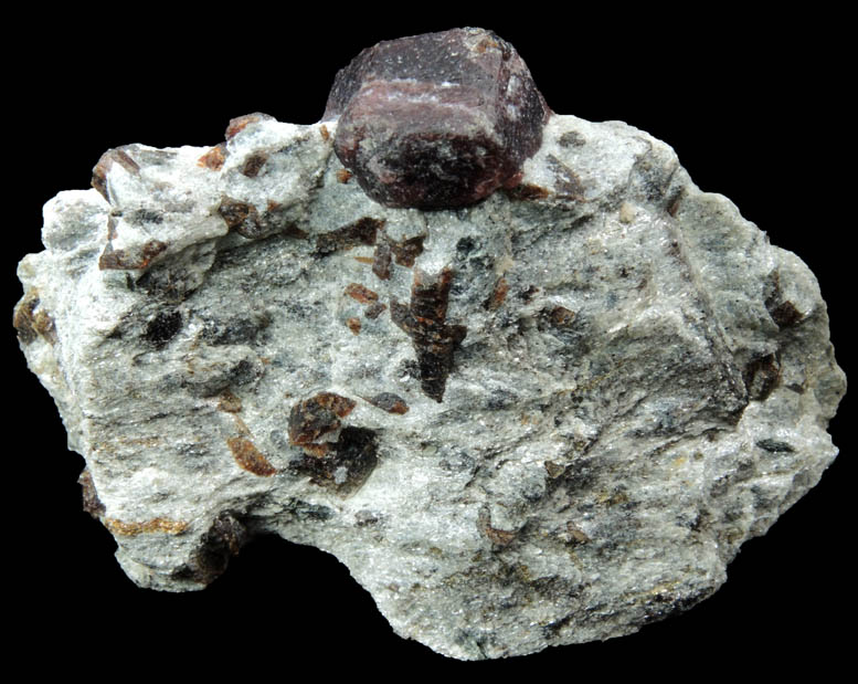 Almandine Garnet with Staurolite from Green's Farm, 750 m. ESE of Roxbury Falls, Roxbury, New Haven County, Connecticut