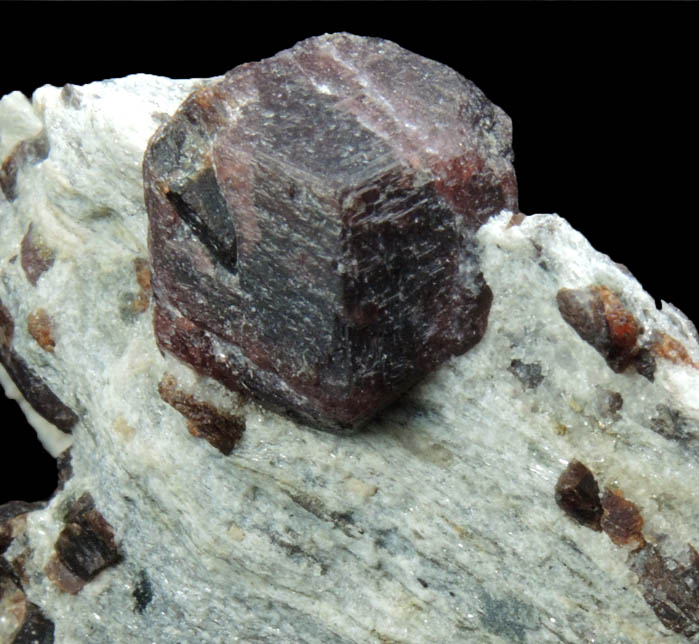 Almandine Garnet with Staurolite from Green's Farm, 750 m. ESE of Roxbury Falls, Roxbury, New Haven County, Connecticut