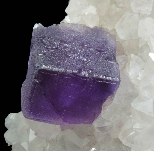 Fluorite on Quartz from Caravia-Berbes District, Asturias, Spain