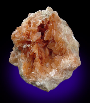 Celestine from Yate, Bristol, England