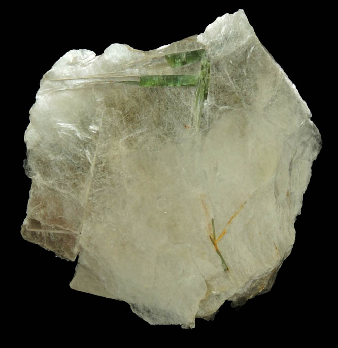 Elbaite Tourmaline in Muscovite from Strickland Quarry, Collins Hill, Portland, Middlesex County, Connecticut