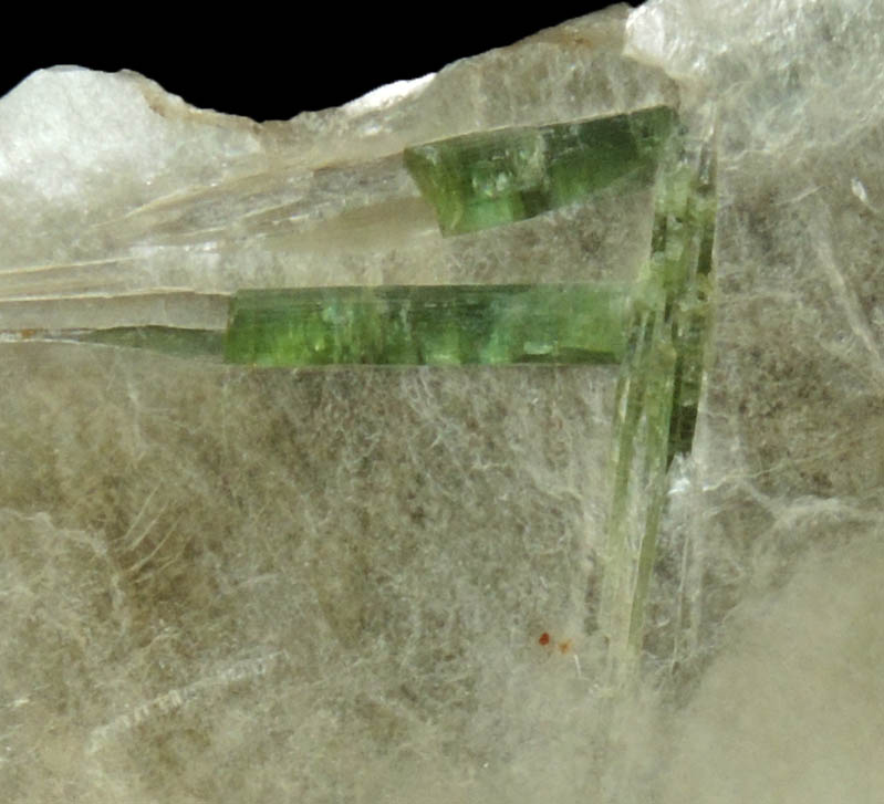 Elbaite Tourmaline in Muscovite from Strickland Quarry, Collins Hill, Portland, Middlesex County, Connecticut