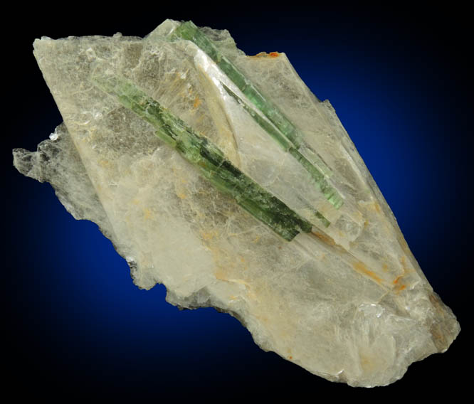 Elbaite Tourmaline in Muscovite from Strickland Quarry, Collins Hill, Portland, Middlesex County, Connecticut