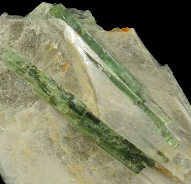 Elbaite Tourmaline in Muscovite from Strickland Quarry, Collins Hill, Portland, Middlesex County, Connecticut