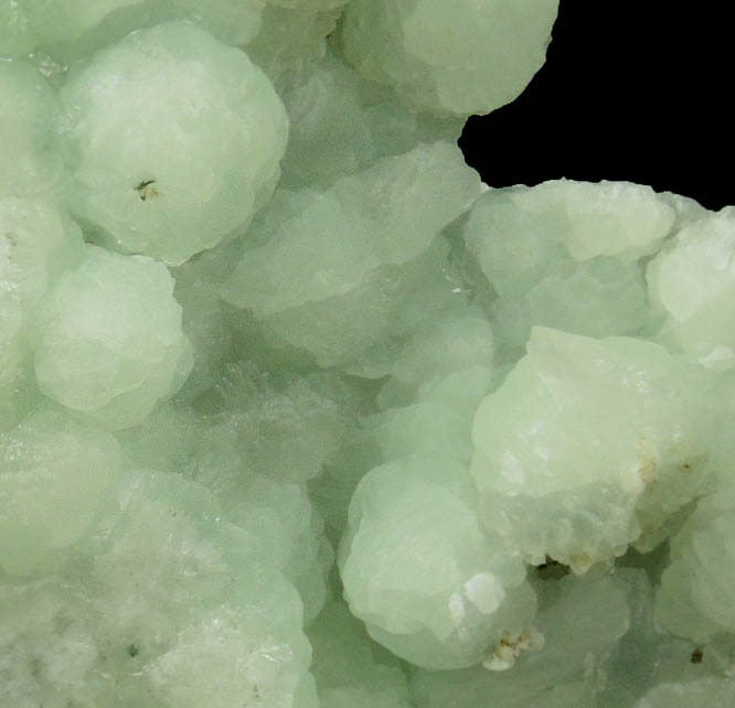 Prehnite with minor Goethite from Millington Quarry, Bernards Township, Somerset County, New Jersey