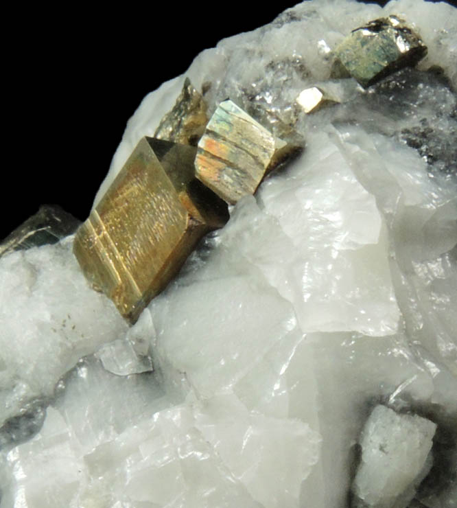 Pyrite in Calcite from Lime Crest Quarry (Limecrest), Sussex Mills, 4.5 km northwest of Sparta, Sussex County, New Jersey