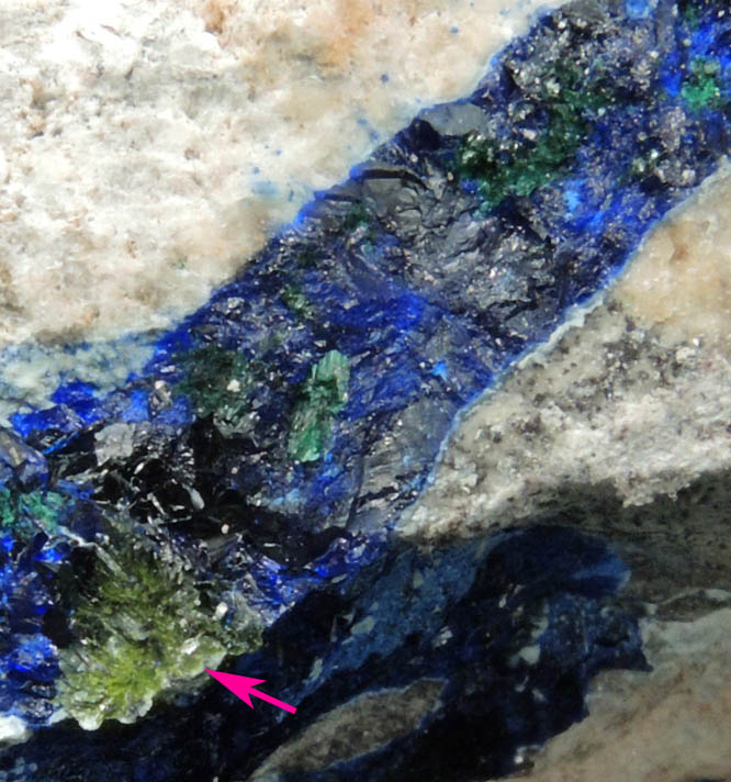 Volborthite with Azurite from Milpillas Mine, Cuitaca, Sonora, Mexico