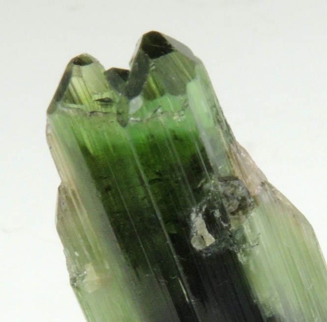 Elbaite Tourmaline from Minas Gerais, Brazil