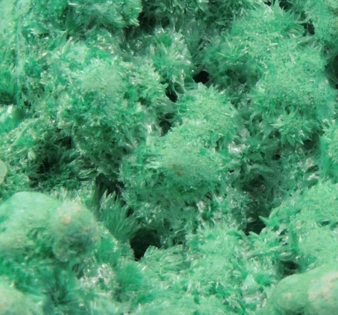 Jarosite with Malachite overgrowth from Pioche District, Lincoln County, Nevada