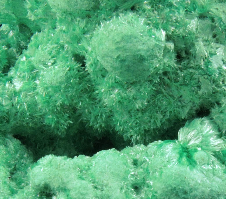 Jarosite with Malachite overgrowth from Pioche District, Lincoln County, Nevada