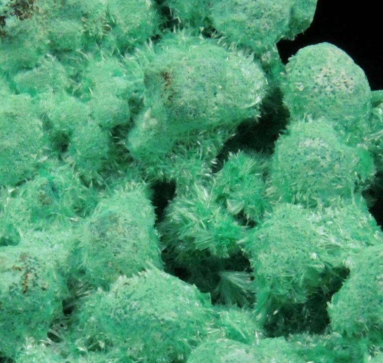 Jarosite with Malachite overgrowth from Pioche District, Lincoln County, Nevada