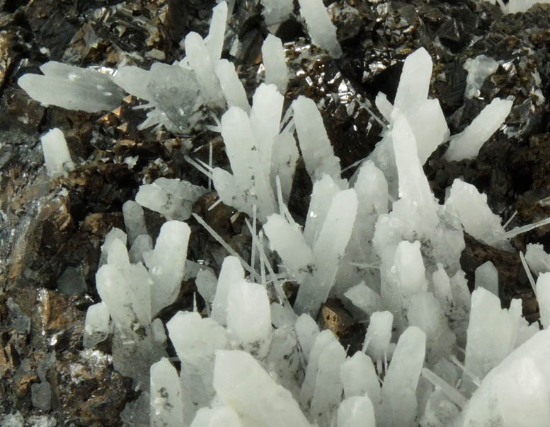 Quartz and Chalcopyrite on Sphalerite from Huaron District, Cerro de Pasco Province, Pasco Department, Peru