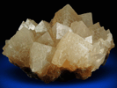 Calcite from Carlile Shale formation (Cretaceous), near La Junta, Otero County, Colorado