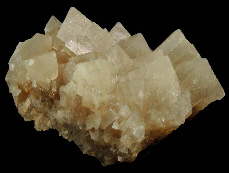 Calcite from Carlile Shale formation (Cretaceous), near La Junta, Otero County, Colorado