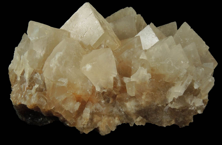 Calcite from Carlile Shale formation (Cretaceous), near La Junta, Otero County, Colorado