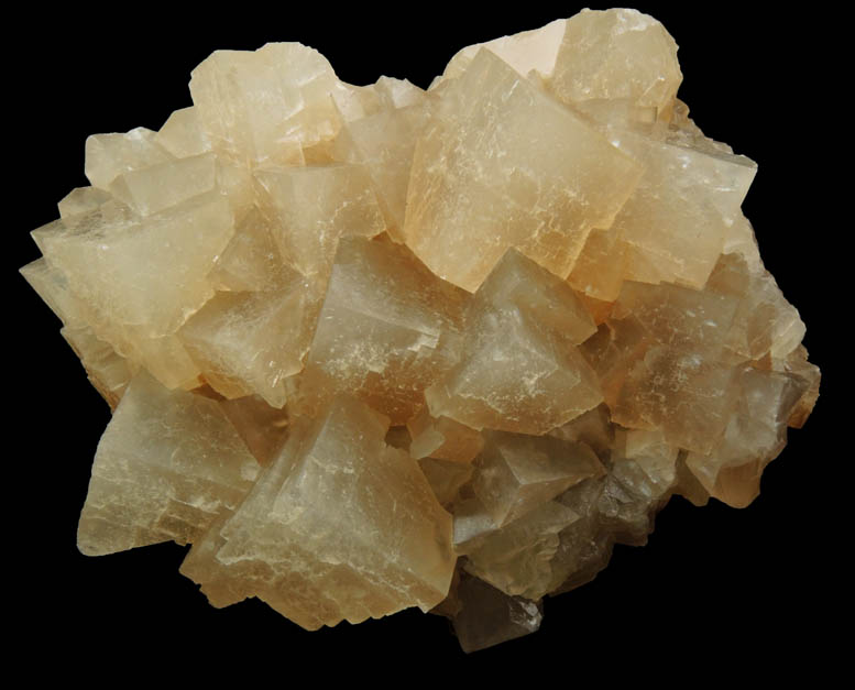 Calcite from Carlile Shale formation (Cretaceous), near La Junta, Otero County, Colorado