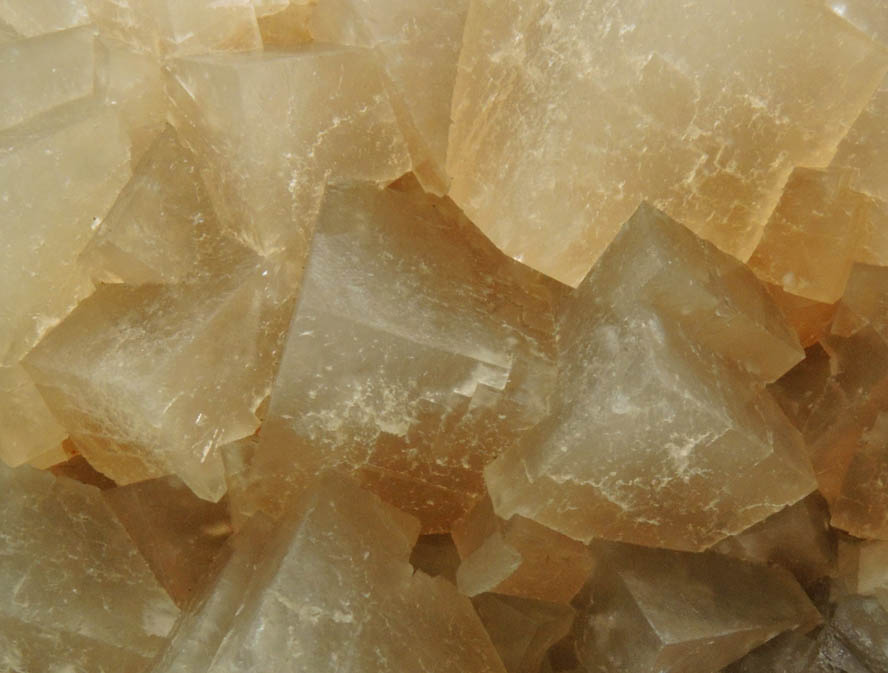 Calcite from Carlile Shale formation (Cretaceous), near La Junta, Otero County, Colorado