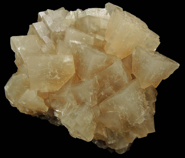 Calcite from Carlile Shale formation (Cretaceous), near La Junta, Otero County, Colorado