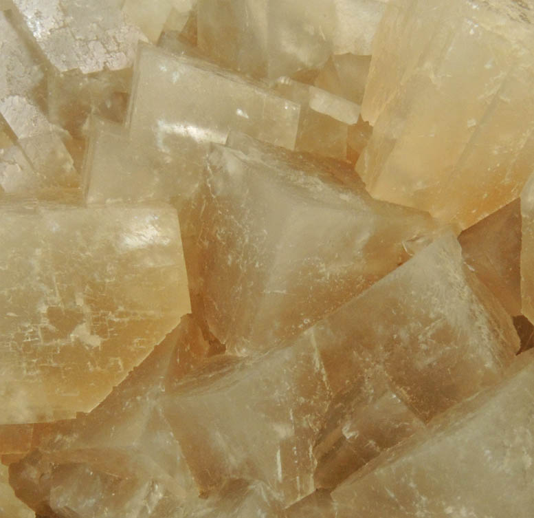 Calcite from Carlile Shale formation (Cretaceous), near La Junta, Otero County, Colorado