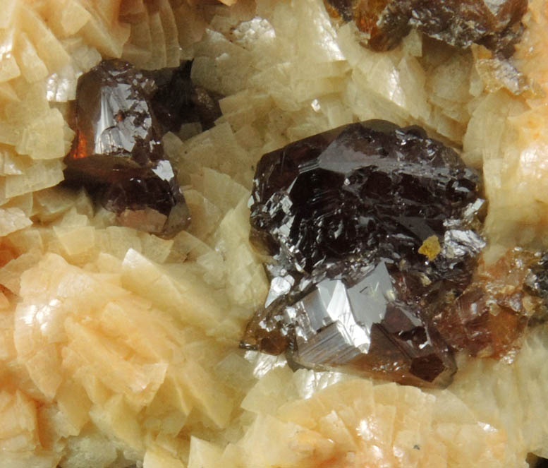 Sphalerite and Dolomite from Mina Troya, Mutiloa, 19 km southwest of San Sebastin, Pais Vasco, Spain