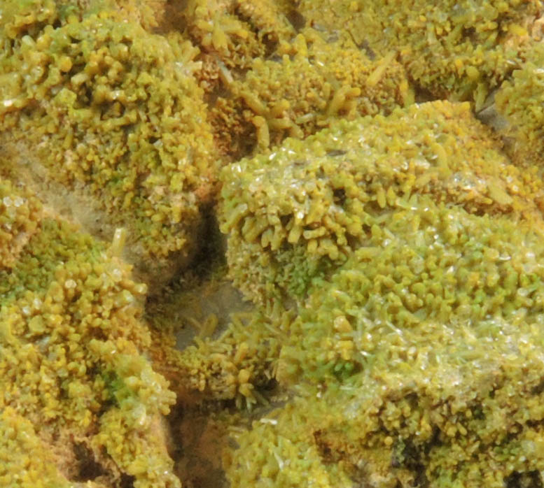 Pyromorphite on Quartz from Sarrowcole Vein, Laverock Hall, Leadhills, South Lanarkshire, Strathclyde, Scotland