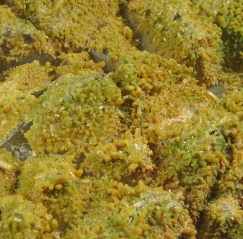 Pyromorphite on Quartz from Sarrowcole Vein, Laverock Hall, Leadhills, South Lanarkshire, Strathclyde, Scotland