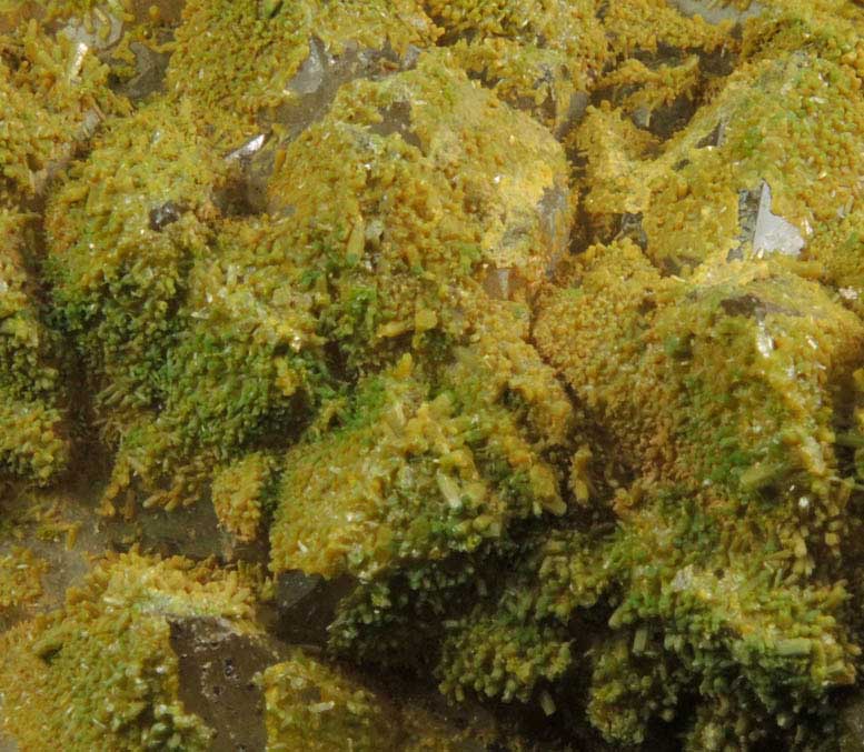 Pyromorphite on Quartz from Sarrowcole Vein, Laverock Hall, Leadhills, South Lanarkshire, Strathclyde, Scotland