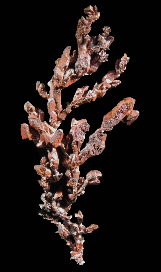 Copper (naturally crystallized native copper) from Chino, Santa Rita District, Grant County, New Mexico