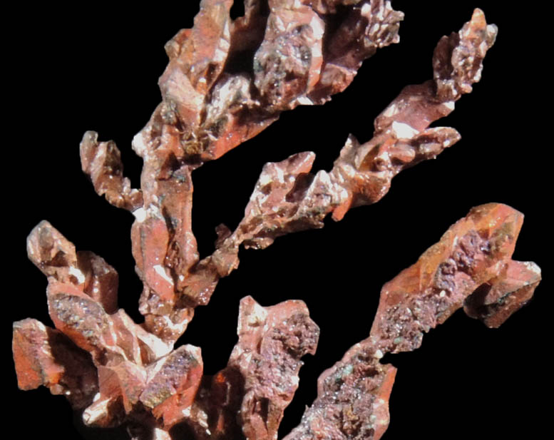 Copper (naturally crystallized native copper) from Chino, Santa Rita District, Grant County, New Mexico
