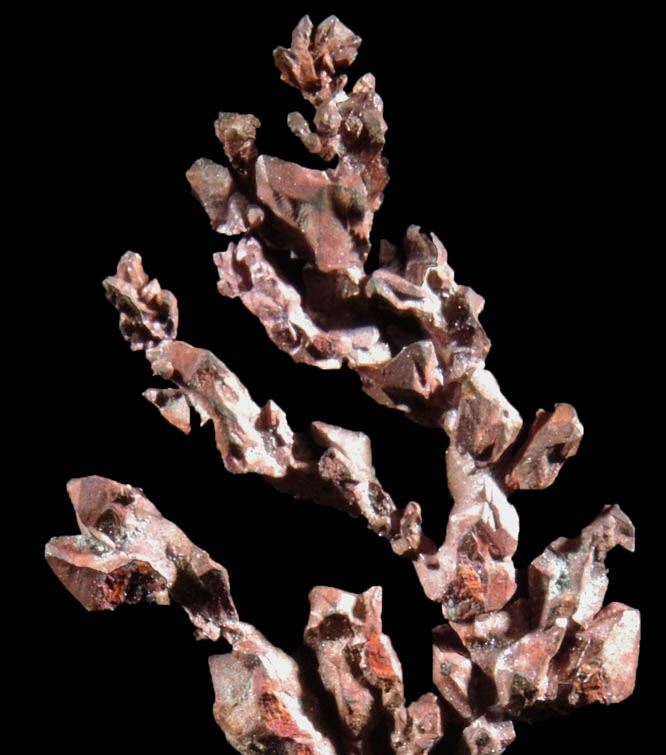 Copper (naturally crystallized native copper) from Chino, Santa Rita District, Grant County, New Mexico