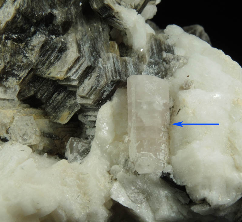Fluorapatite, Muscovite, Albite, Hyalite Opal from Dassu, Braldu Valley, Baltistan, Gilgit-Baltistan, Pakistan