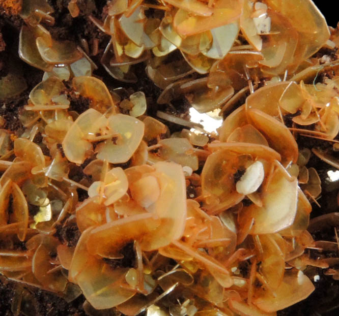 Wulfenite from Defiance Mine, Courtland-Gleeson District, Cochise County, Arizona