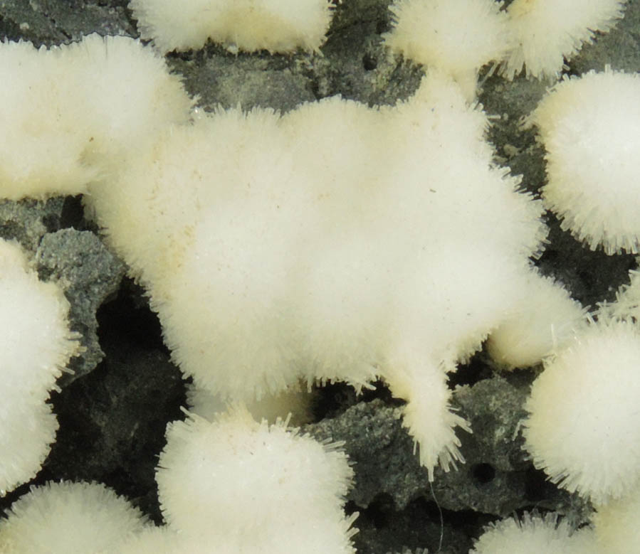 Natrolite from Millington Quarry, Bernards Township, Somerset County, New Jersey