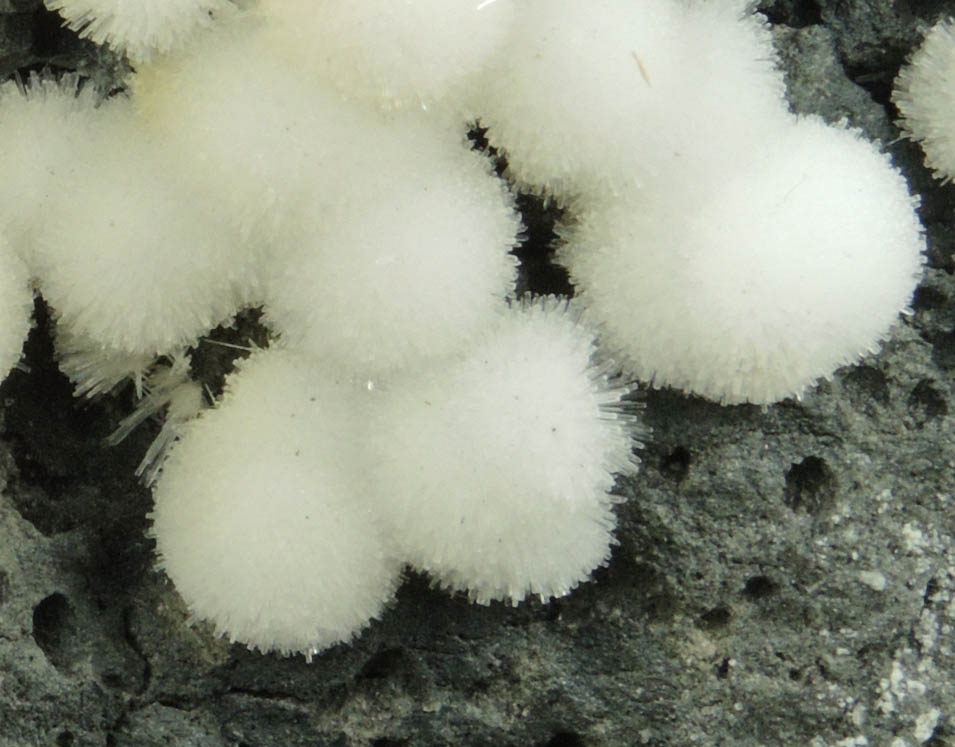 Natrolite from Millington Quarry, Bernards Township, Somerset County, New Jersey