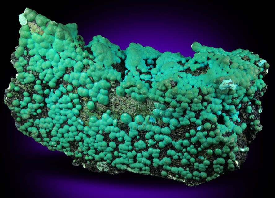 Chrysocolla over Tenorite from Lubumbashi, Katanga Copperbelt, Haut-Katanga Province, Democratic Republic of the Congo