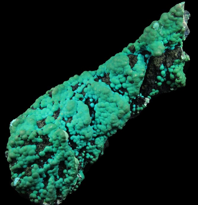 Chrysocolla over Tenorite from Lubumbashi, Katanga Copperbelt, Haut-Katanga Province, Democratic Republic of the Congo