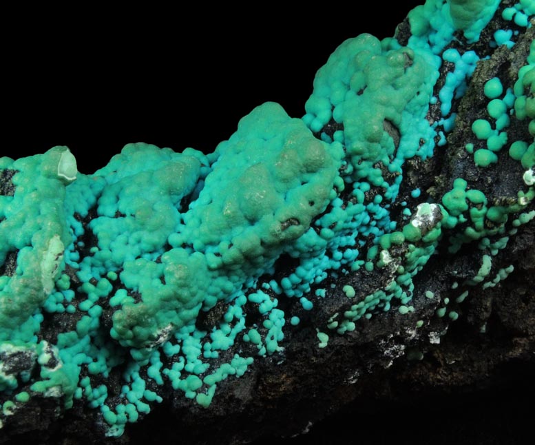 Chrysocolla over Tenorite from Lubumbashi, Katanga Copperbelt, Haut-Katanga Province, Democratic Republic of the Congo