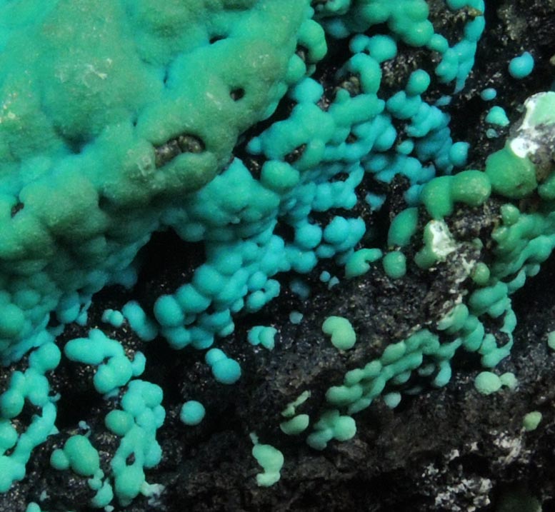 Chrysocolla over Tenorite from Lubumbashi, Katanga Copperbelt, Haut-Katanga Province, Democratic Republic of the Congo