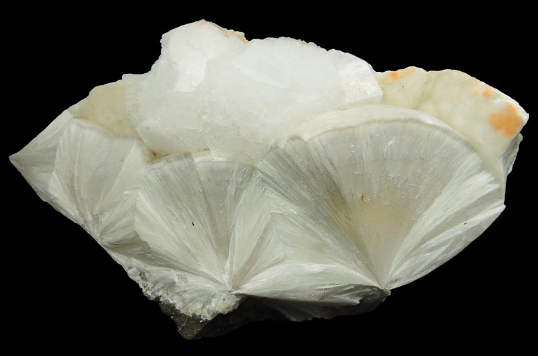 Analcime on Pectolite from Sowerbutt Quarry, Prospect Park, Haledon, Passaic County, New Jersey