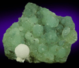 Thomsonite on Prehnite from Prospect Park Quarry, Prospect Park, Passaic County, New Jersey