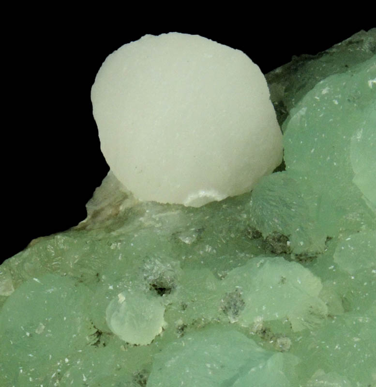 Thomsonite on Prehnite from Prospect Park Quarry, Prospect Park, Passaic County, New Jersey