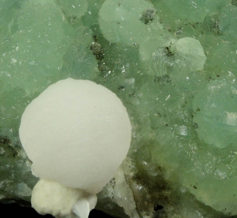 Thomsonite on Prehnite from Prospect Park Quarry, Prospect Park, Passaic County, New Jersey