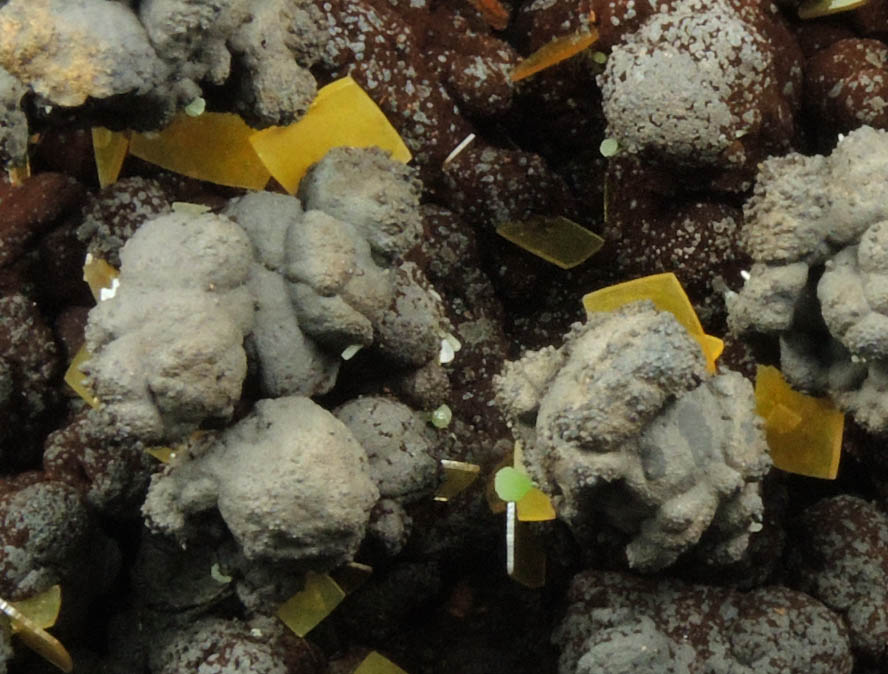 Wulfenite on Goethite from Mina Ojuela, Mapimi, Durango, Mexico