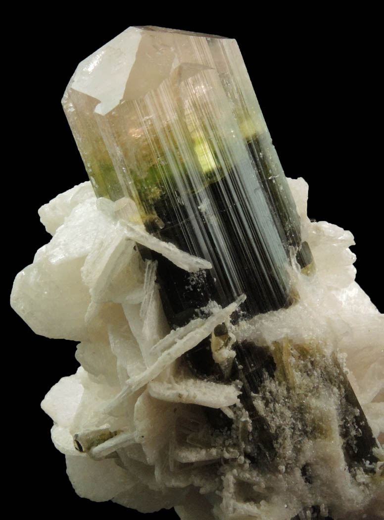 Elbaite Tourmaline and Albite from Stak Nala, Skardu Road, Baltistan, Gilgit-Baltistan, Pakistan