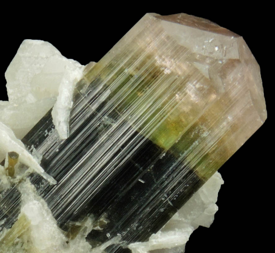 Elbaite Tourmaline and Albite from Stak Nala, Skardu Road, Baltistan, Gilgit-Baltistan, Pakistan