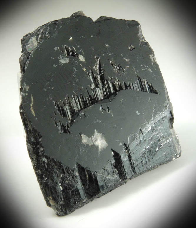 Schorl Tourmaline (doubly terminated distorted crystal) from Lavra do Escondido, Conselheiro Pena, Minas Gerais, Brazil