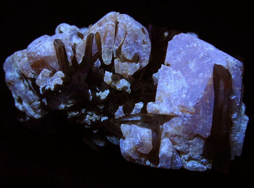 Photo below under shortwave ultraviolet illumination of Scheelite and Quartz from Khapalu, Ghanche District, Gilgit-Baltistan, Pakistan Scheelite and Quartz from Khapalu, Ghanche District, Gilgit-Baltistan, Pakistan