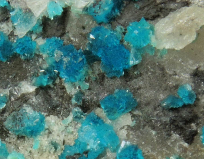 Turquoise crystals on Quartz from Bishop Mine, Lynch Station, Campbell County, Virginia