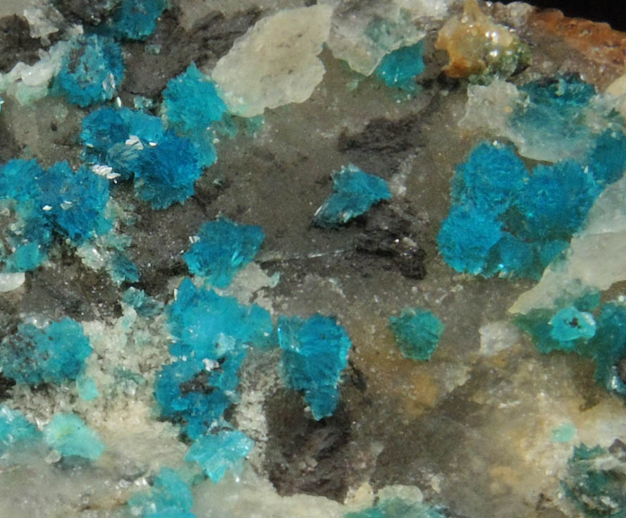 Turquoise crystals on Quartz from Bishop Mine, Lynch Station, Campbell County, Virginia