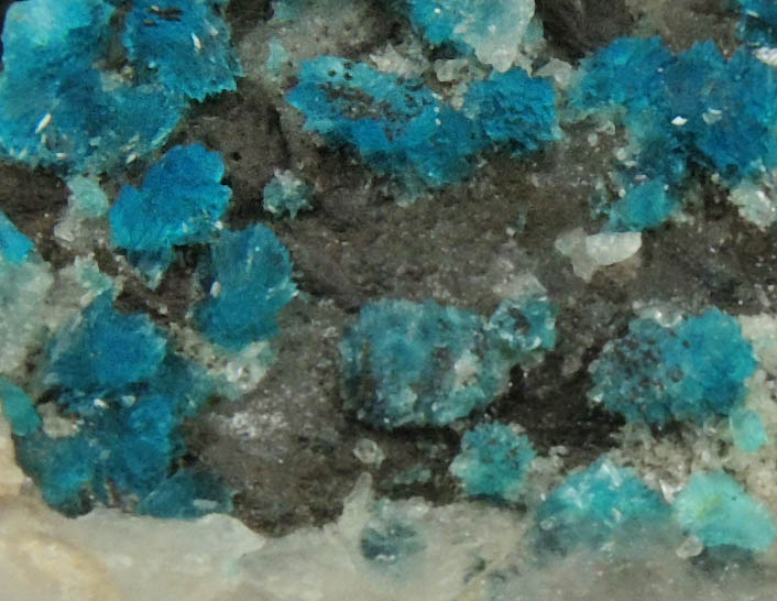 Turquoise crystals on Quartz from Bishop Mine, Lynch Station, Campbell County, Virginia